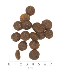 Wolfsblut - Blauer Berg